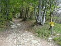 DSC04137