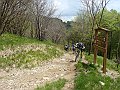 DSC04141