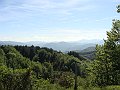DSC04174