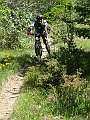 DSC04196