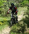 DSC04204