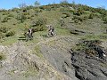 DSC04214