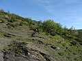 DSC04216