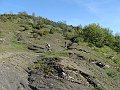 DSC04217