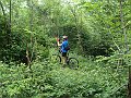 DSC04268