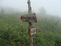 DSC04279