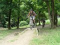 DSC04321