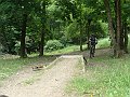DSC04339