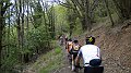 DSCN0952