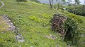 DSCN0985