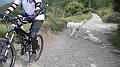 DSCN1074