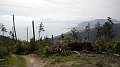 DSCN1075