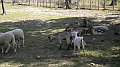 DSCN1131