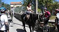 DSCN1176