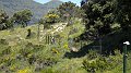 DSCN1187