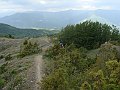 DSC04391
