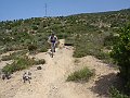 P6130145