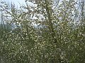 P6130148