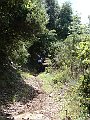 DSC04471