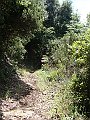 DSC04481