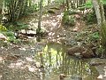 DSC04520