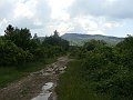 DSC04527