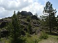 DSC04535