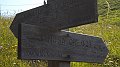 DSCN1497