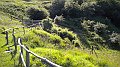 DSCN1498