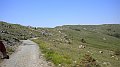 DSCN1535