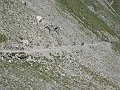 DSCN4871