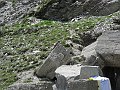 DSCN4874