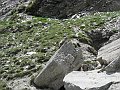 DSCN4876