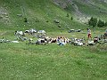 DSCN4890