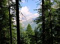 DSCN5713