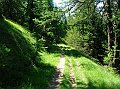 DSCN5769