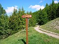DSCN5770