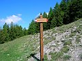 DSCN5771
