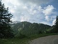 IMG_2963