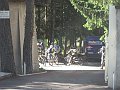 IMG_2981