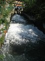 IMG_2982