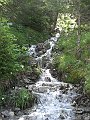 IMG_2990