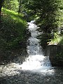 IMG_2992