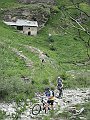 IMG_2995