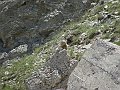 DSC04665