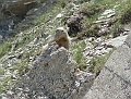 DSC04666