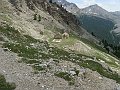 DSC04682