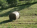 DSC04719