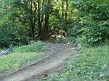DSC04948