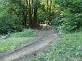 DSC04949